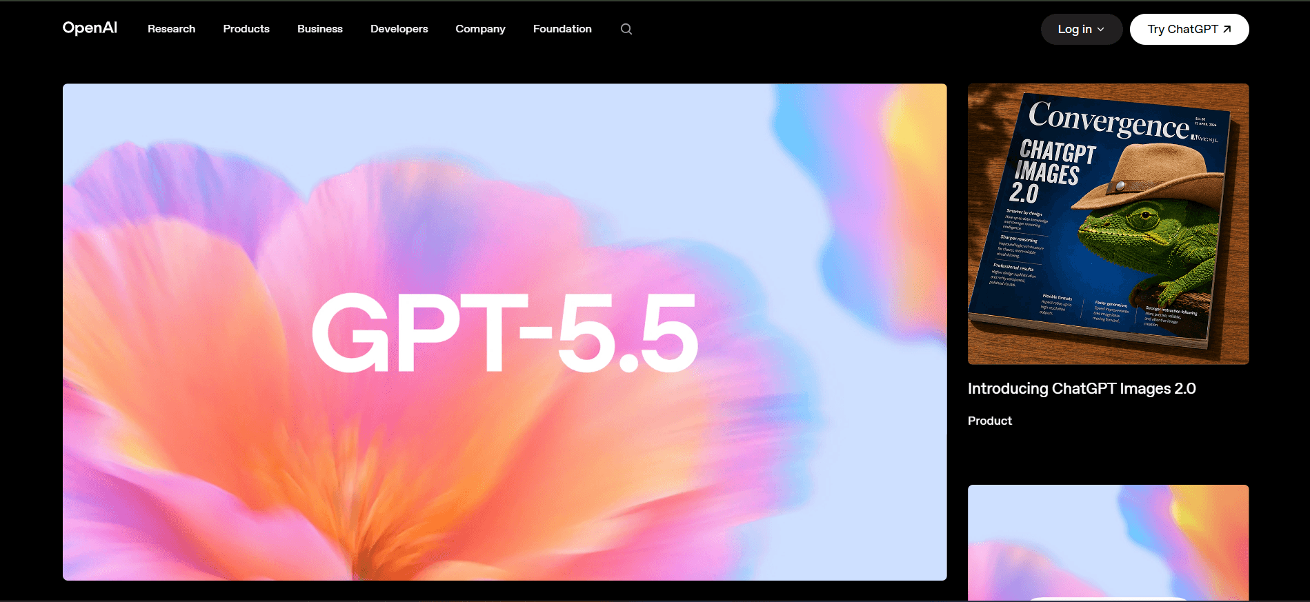 ChatGPT (OpenAI) ChatGPT (OpenAI)